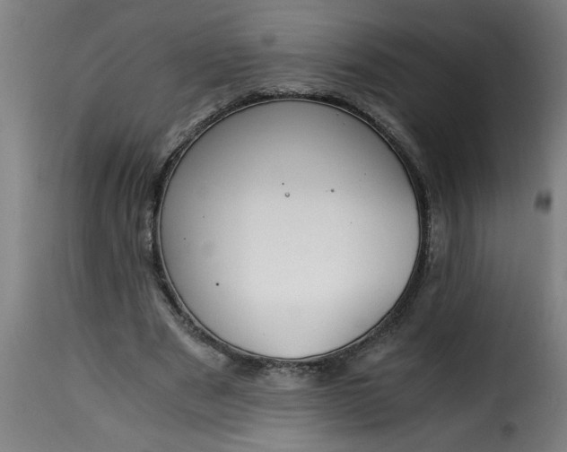 X0000115480489200911201843