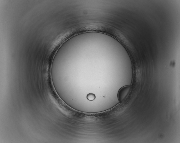 X0000115480490200911201843