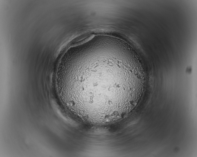 X0000115480491200911201843