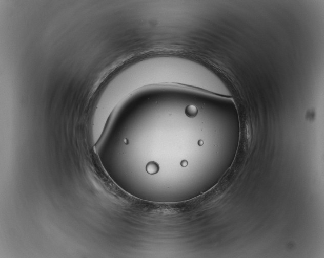 X0000115480492200911201843