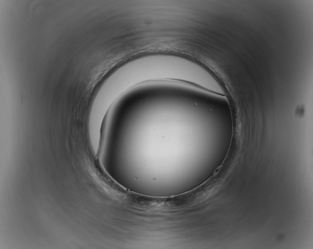 X0000115480493200911201843