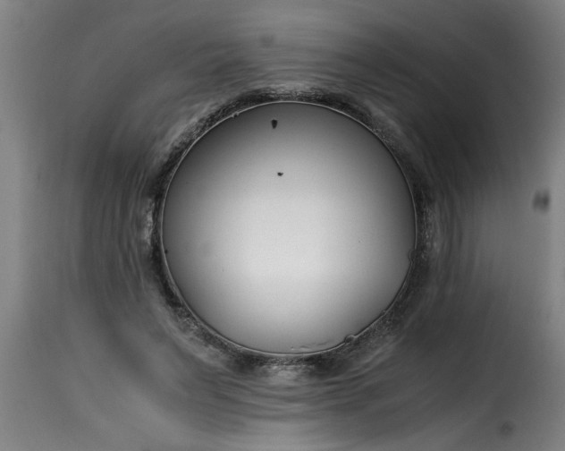 X0000115480495200911201843