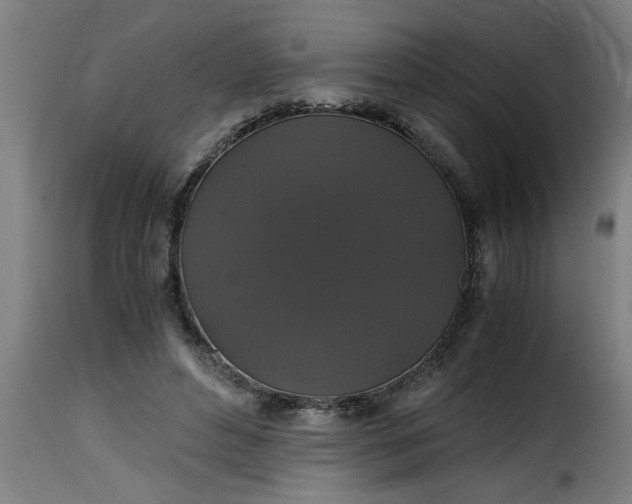 X0000115480496200911201843