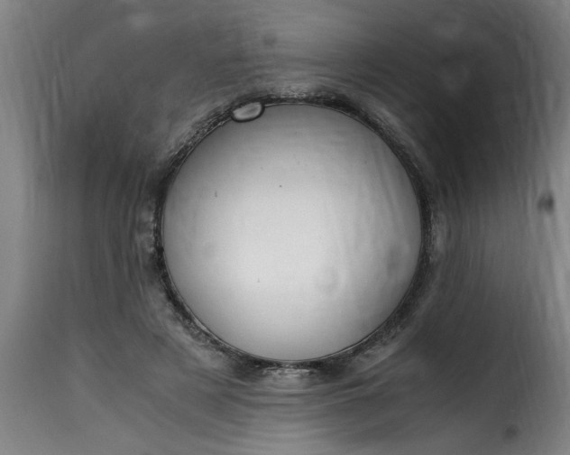 X0000115480497200911201843