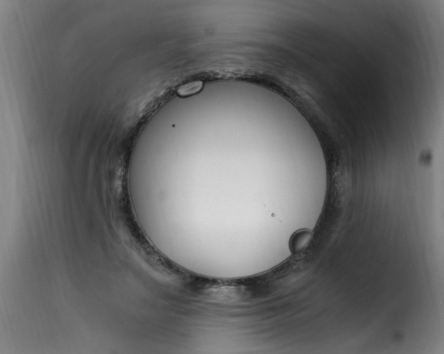 X0000115480499200911201843