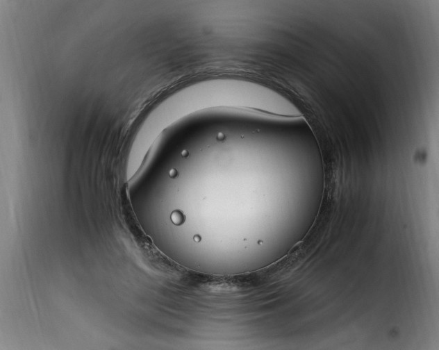 X0000115480500200911201843