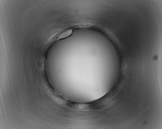 X0000115480501200911201843