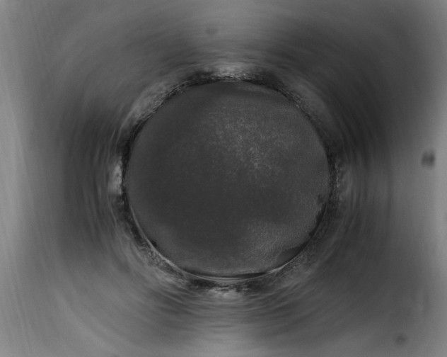 X0000115480502200911201843