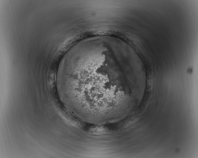 X0000115480503200911201843