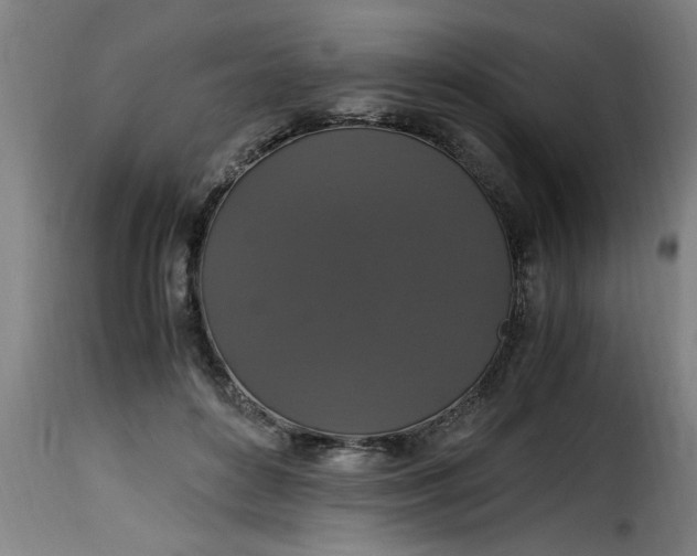 X0000115480504200911201843