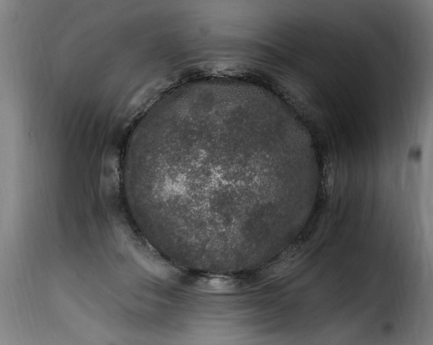 X0000115480506200911201843