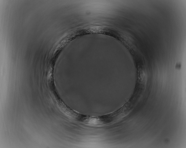 X0000115480507200911201843