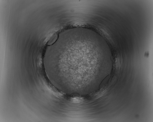 X0000115480508200911201843