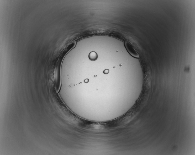 X0000115480509200911201843