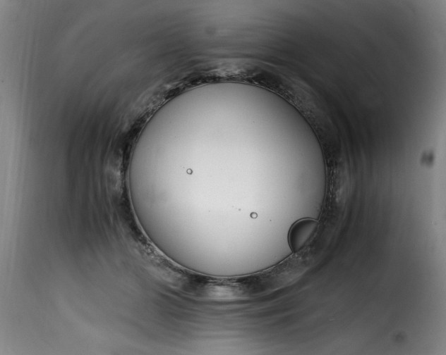 X0000115480510200911201843