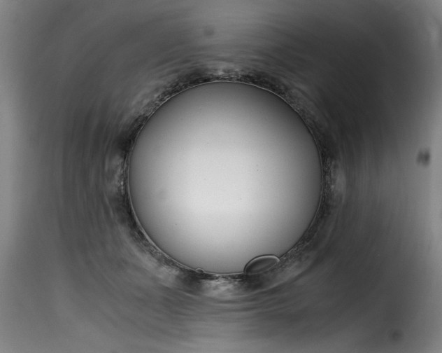 X0000115480511200911201843