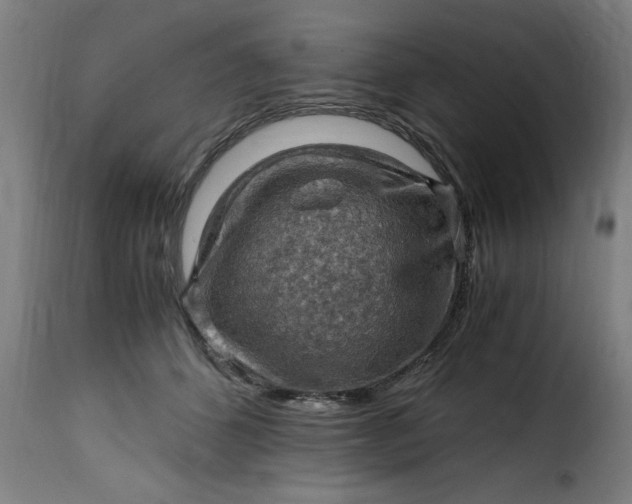 X0000115480512200911201843