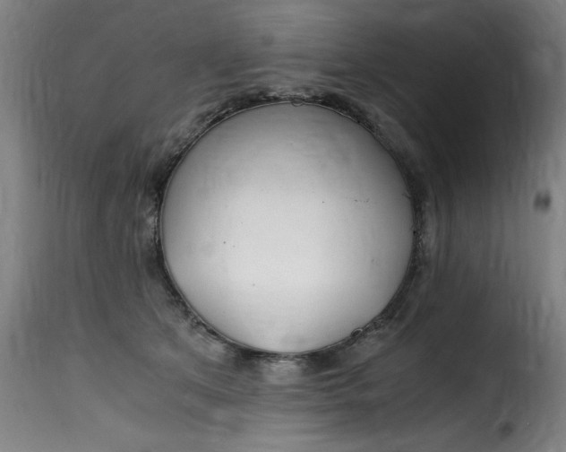 X0000115480513200911201843