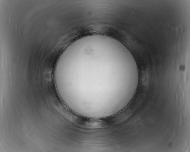 X0000115480514200911201843