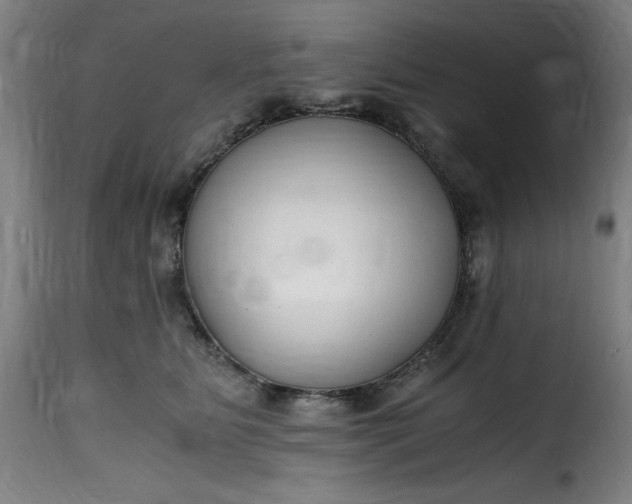 X0000115480515200911201843