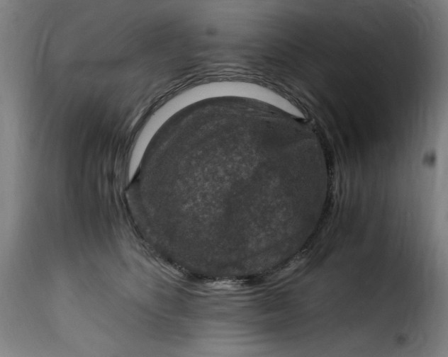 X0000115480516200911201843