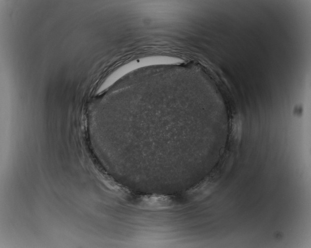 X0000115480517200911201843