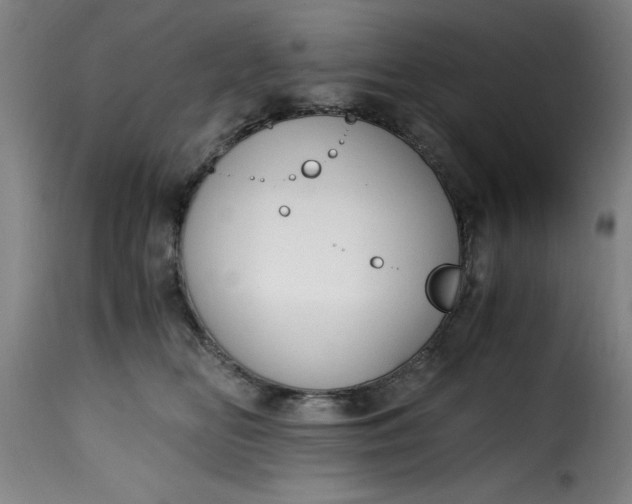 X0000115480518200911201843