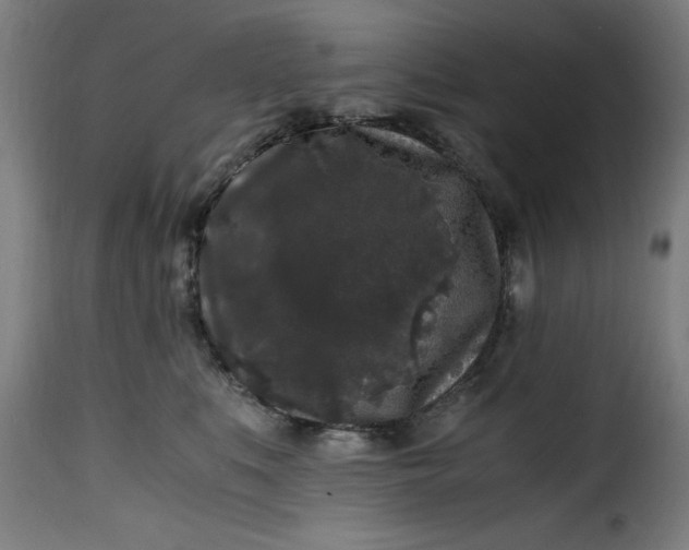 X0000115480519200911201843