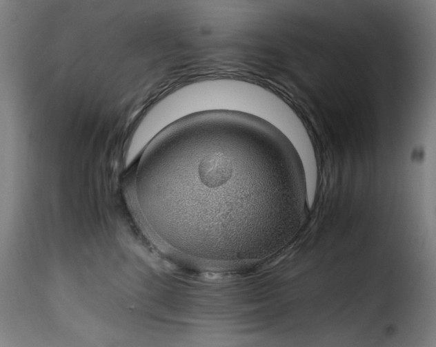 X0000115480520200911201843