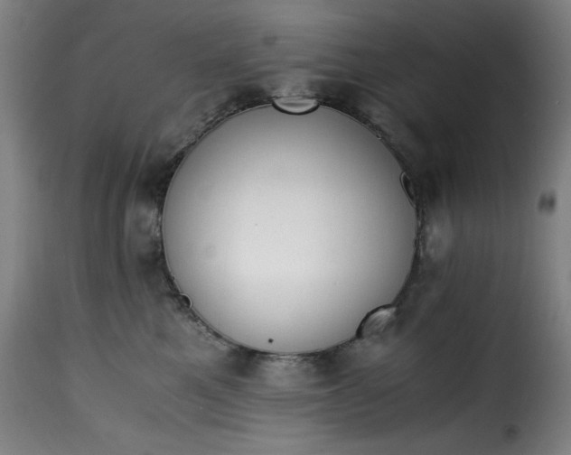 X0000115480521200911201843