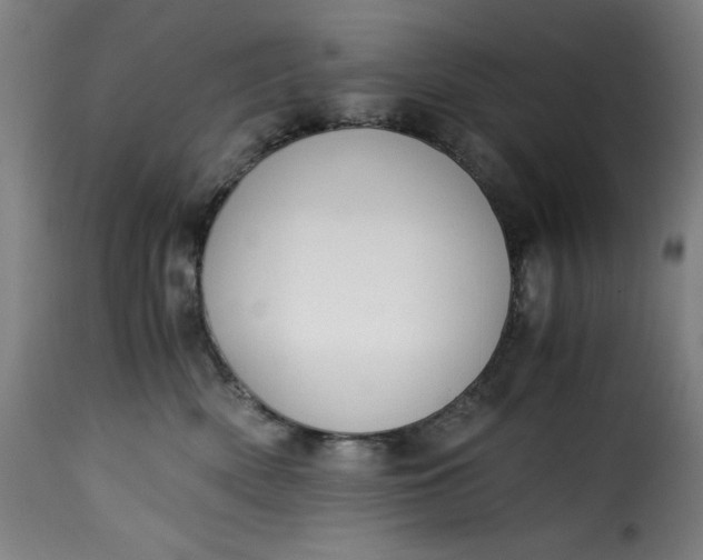 X0000115480522200911201842