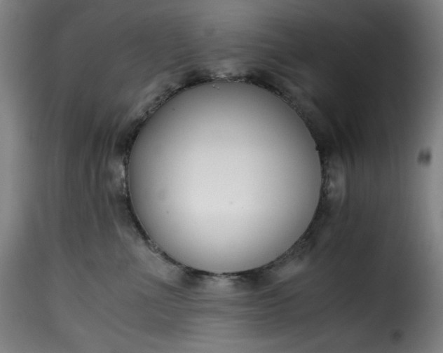 X0000115480523200911201842