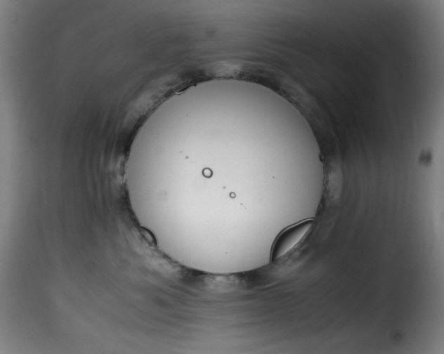 X0000115480525200911201842