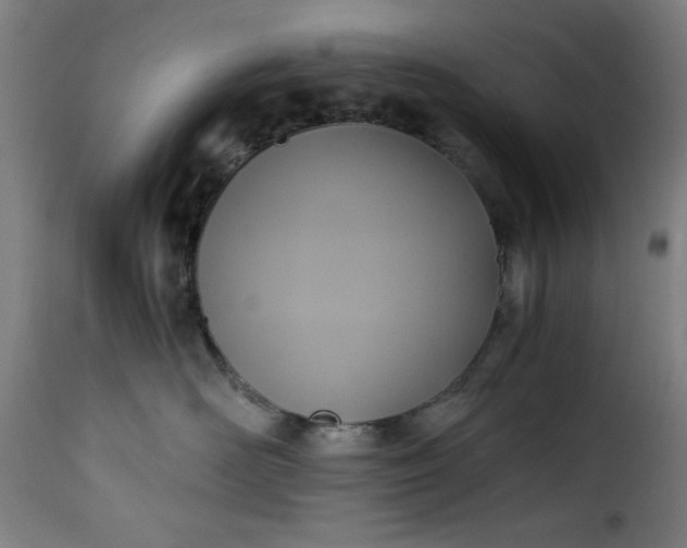 X0000115480526200911201842