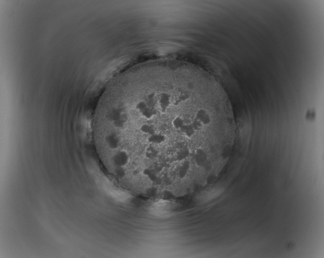 X0000115480527200911201842