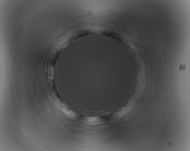 X0000115480528200911201842