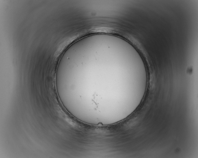 X0000115480529200911201842