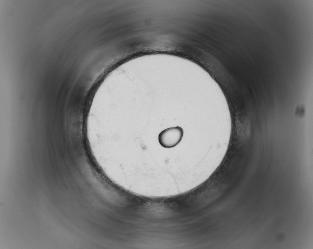 X0000115480534200911201842