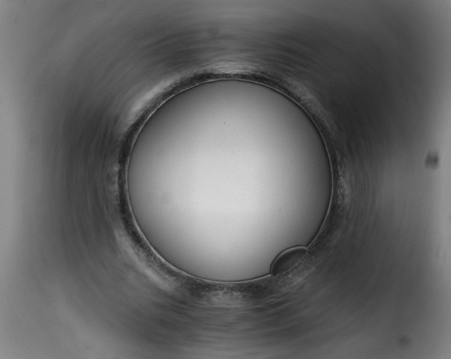 X0000115480535200911201842