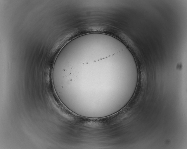 X0000115480537200911201842