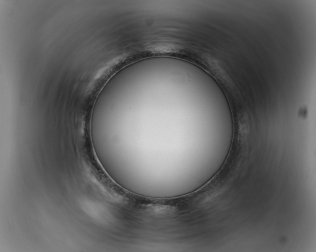 X0000115480539200911201842