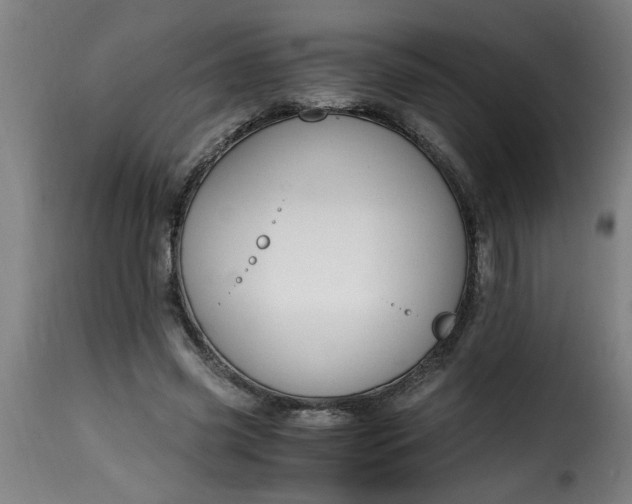 X0000115480541200911201842