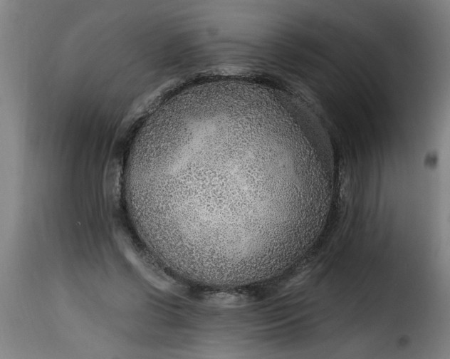 X0000115480542200911201842