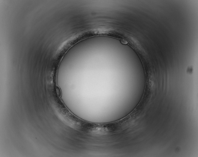 X0000115480543200911201842