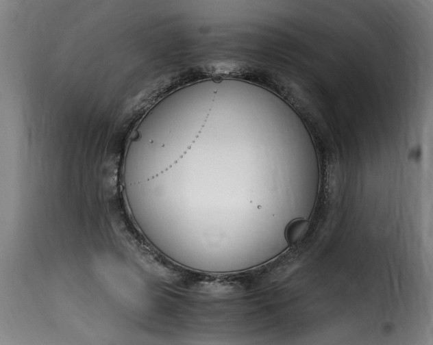 X0000115480545200911201842