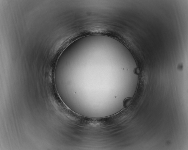 X0000115480547200911201842