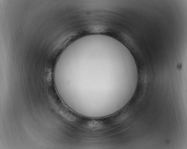 X0000115480549200911201842