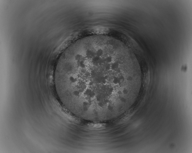 X0000115480553200911201842