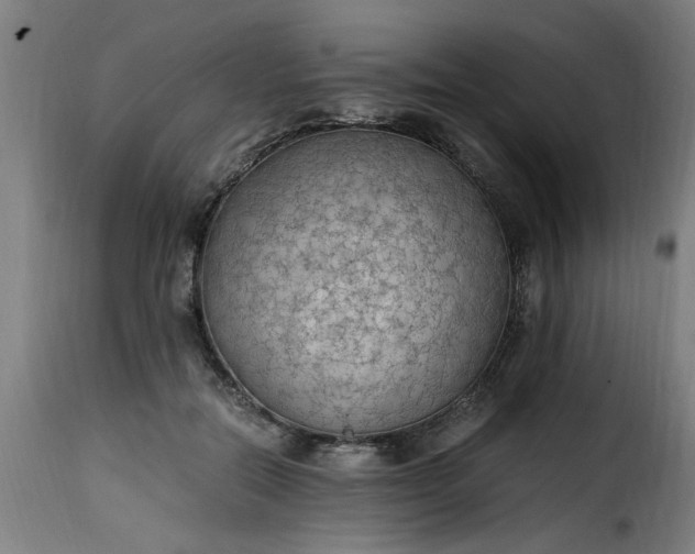 X0000115480554200911201842