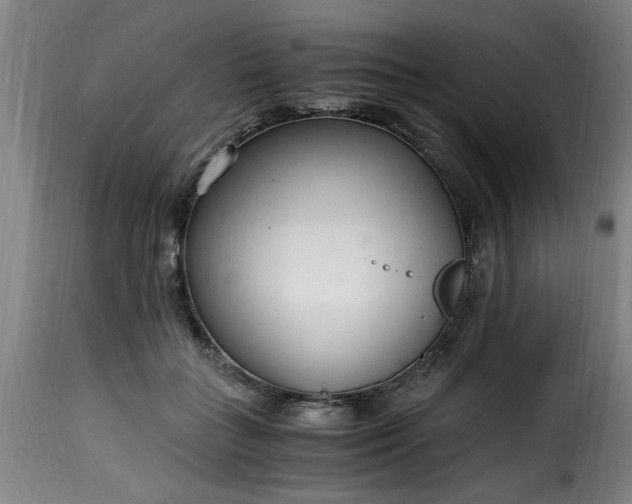 X0000115480555200911201842